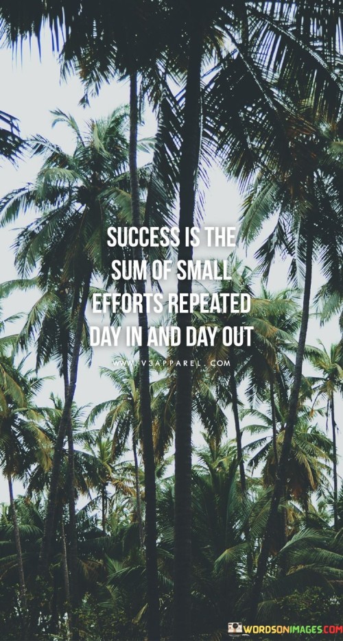 Success-Is-The-Sum-Of-Small-Efforts-Repeated-Day-In-And-Day-Out-Quotes.jpeg