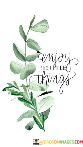 Enjoy-The-Little-Things-Quotes.jpeg