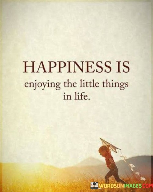Happiness-Is-Enjoying-The-Little-Things-In-Life-Quotes.jpeg