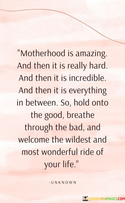 Motherhood-Is-Amazing-And-Then-It-Is-Really-Hard-And-Then-Quotes.jpeg