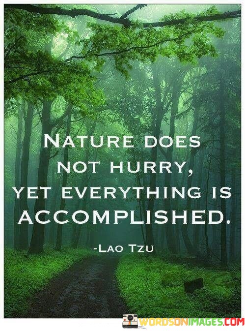 Nature-Does-Not-Hurry-Yet-Everything-Is-Accomplished-Quotes.jpeg