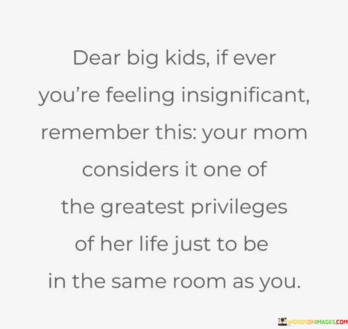 Dear-Big-Kids-If-Ever-Youre-Feeling-Insignificant-Remember-Quotes.jpeg