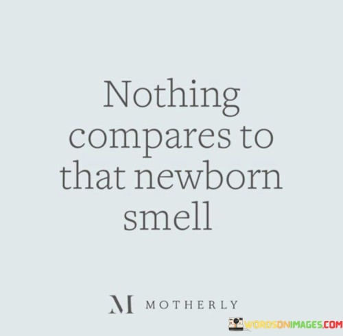 Nothing-Compares-To-That-Newborn-Smell-Quotes.jpeg