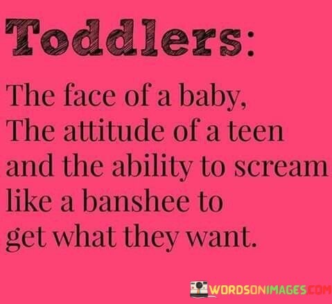 Toddlers-The-Face-Of-A-Baby-The-Attitude-Quotes.jpeg