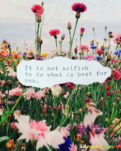 The quote underscores self-care and prioritization. The phrase "it's not selfish" challenges the notion that looking out for one's own well-being is morally wrong.

The second part, "to do what is best for you," highlights the importance of making decisions that prioritize personal health, happiness, and growth.

In essence, the quote promotes healthy self-prioritization. It conveys that taking care of oneself isn't an act of selfishness but a necessity for overall well-being. It's a reminder that prioritizing one's own needs, desires, and growth is essential for leading a balanced and fulfilling life, ultimately benefitting both the individual and their relationships.