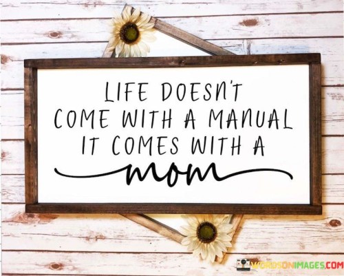 Life-Doesnt-Come-With-A-Manual-Quotes.jpeg