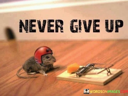 Never-Give-Up-Quotes9816c8d24435f92f.jpeg