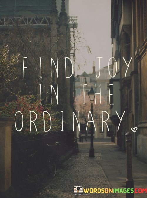 Find-Joy-In-The-Ordinary-Quotes.jpeg