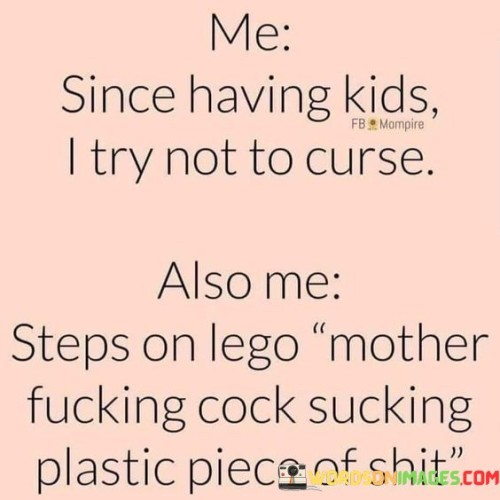 Me-Since-Having-Kids-I-Try-Not-To-Curse-Also-Me-Quotes.jpeg