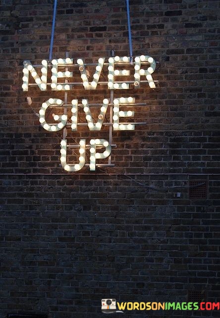 Never-Give-Up-Quotes.jpeg