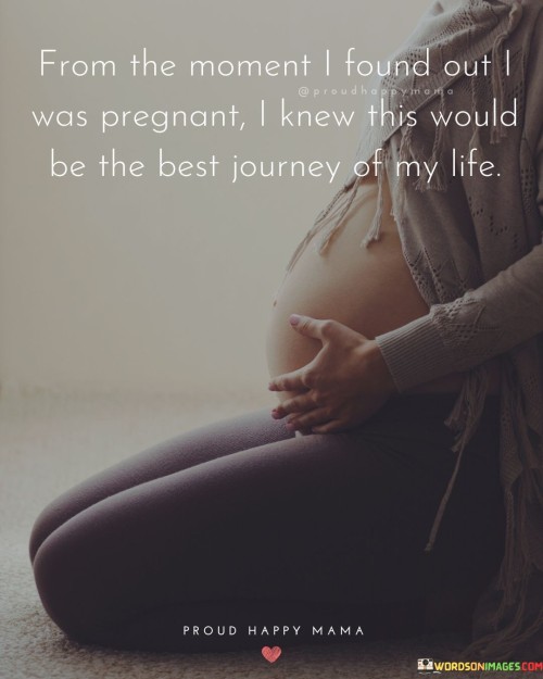 From-The-Moment-I-Found-Out-I-Was-Pregnant-Quotes.jpeg