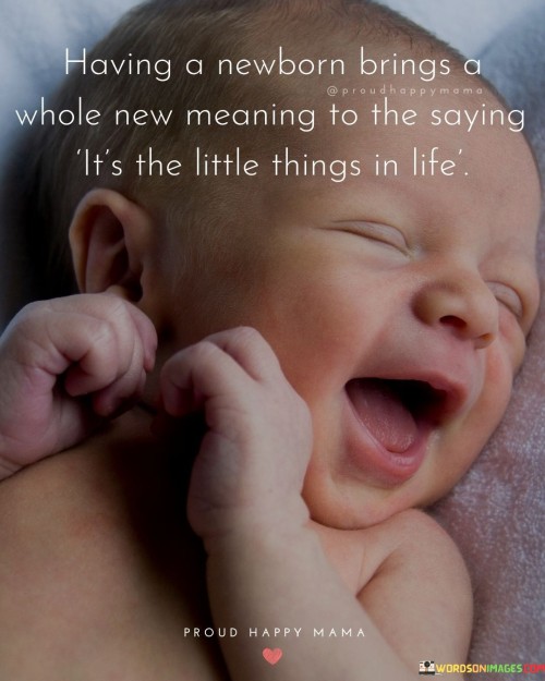 Having-A-Newborn-Brings-A-Whole-New-Meaning-Quotes.jpeg