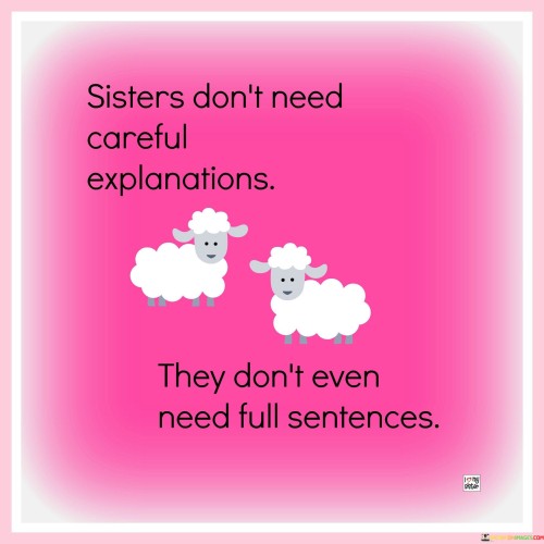 Sisters-Dont-Need-Careful-Explanations-Quotes.jpeg