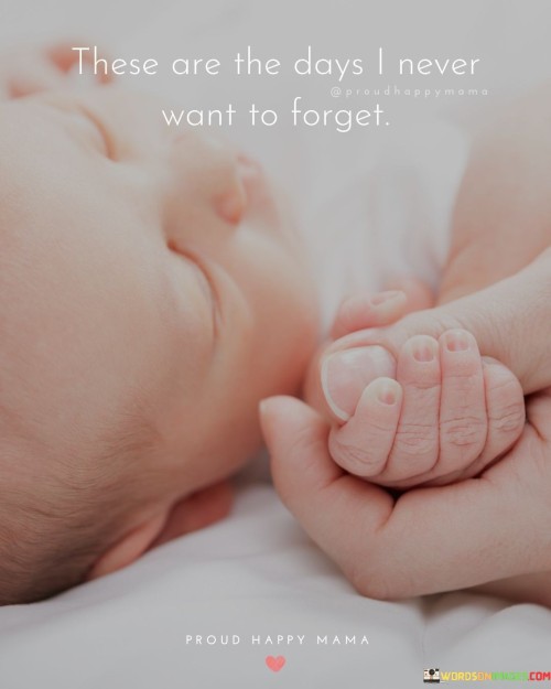 These-Are-The-Days-I-Never-Want-To-Forget-Quotes.jpeg