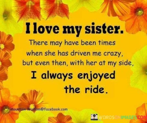 I-Love-My-Sister-There-May-Have-Been-Times-When-She-Has-Driven-Me-Crazy-Quotes.jpeg