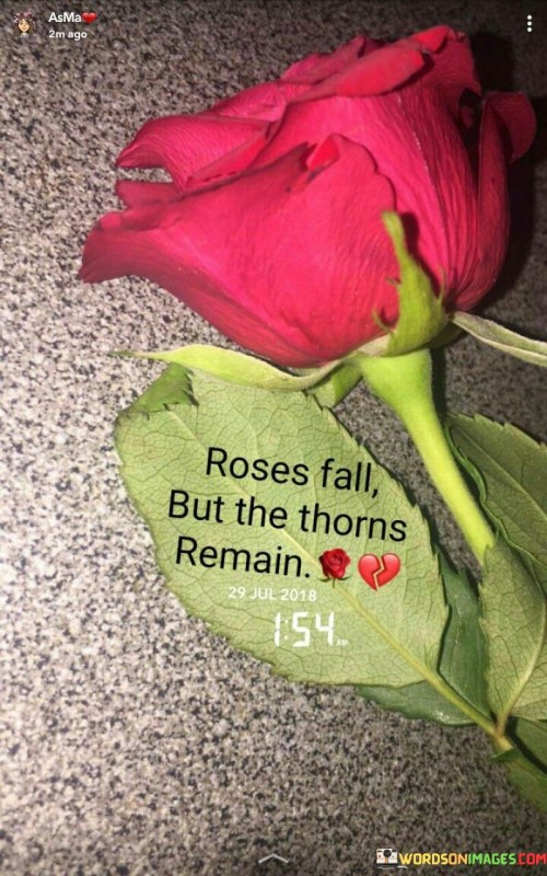 Rose-Fall-But-Thorns-Remain-Quotes.jpeg