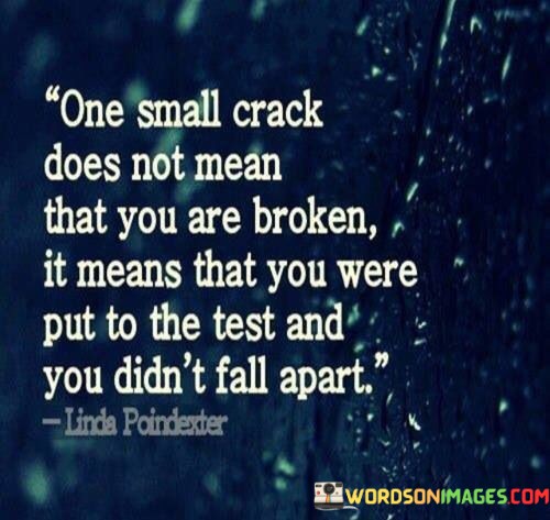 One-Small-Crack-Does-Not-Mean-That-You-Are-Broken-It-Means-Quotes.jpeg