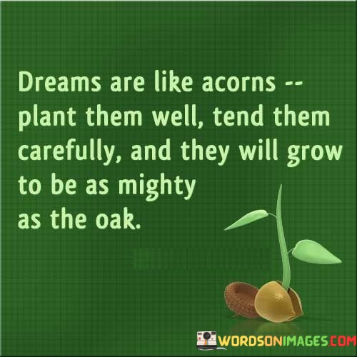 Dreams-Are-Like-Acorns-Plant-Them-Well-Tend-Them-Carefully-Quotes.jpeg
