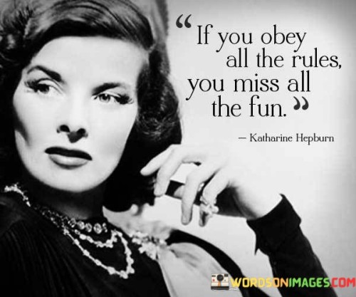 If You Obey All The Rules You Miss All The Fun Quotes