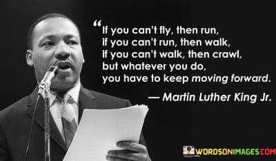 If-You-Cant-Fly-Then-Run-If-You-Cant-Run-Quotes.jpeg