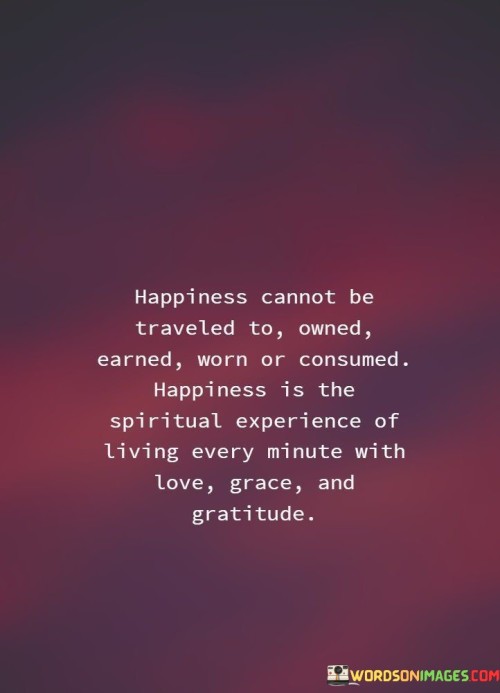 Happiness-Cannot-Be-Traveled-To-Owned-Earned-Quotes.jpeg
