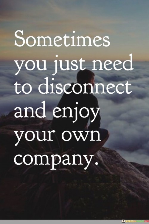 Sometimes-You-Just-Need-To-Disconnect-And-Enjoy-Your-Own-Quotes.jpeg