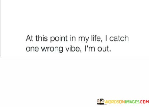 At-This-Point-In-My-Life-I-Catch-One-Wrong-Vibe-Quotes.jpeg
