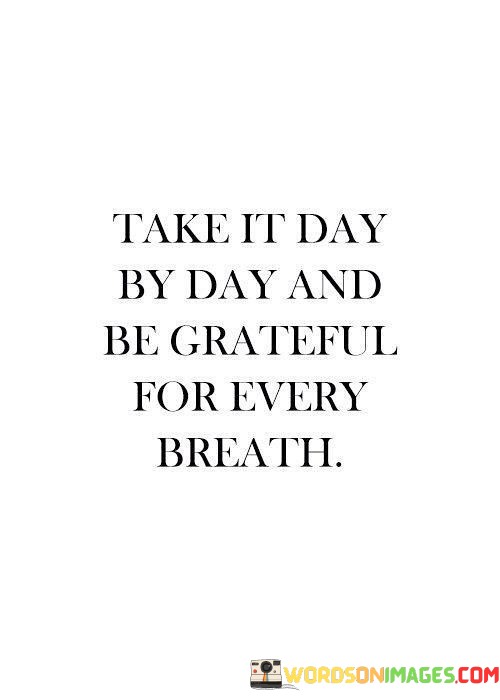 Take-It-Day-By-Day-And-Be-Grateful-For-Every-Quotes.jpeg