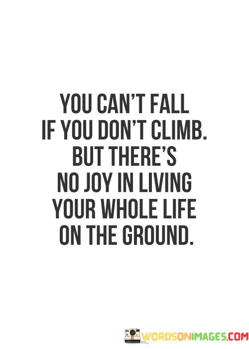 You-Cant-Fall-If-You-Dont-Climb-But-Theres-No-Joy-In-Living-Your-Whole-Life-Quotes.jpeg
