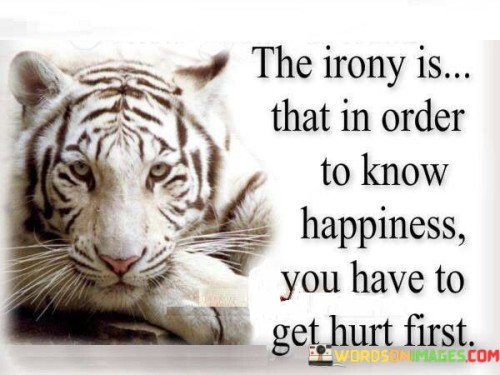 The-Irony-Is-That-In-Order-To-Know-Happiness-Quotes.jpeg
