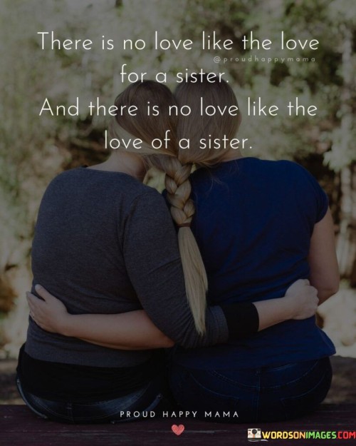 There-Is-No-Love-Like-The-Love-For-A-Sister-Quotes.jpeg