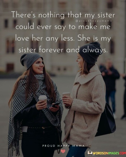 Theres-Nothing-That-My-Sister-Could-Ever-Say-Quotes.jpeg