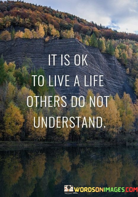 It-Is-Ok-To-Live-A-Life-Others-Do-Not-Understand-Quotes.jpeg