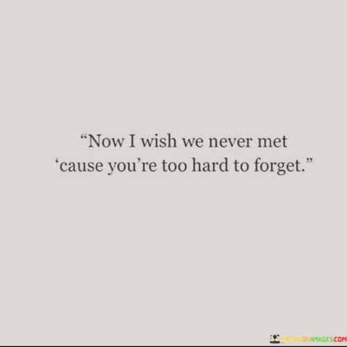 Now-I-Wish-We-Never-Met-Cause-Youre-Too-Hard-To-Forget-Quotes.jpeg