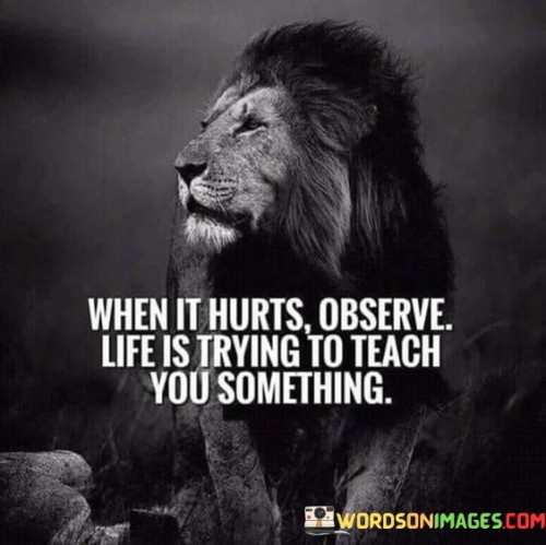 When-It-Hurts-Observe-Life-Is-Trying-Quotes.jpeg