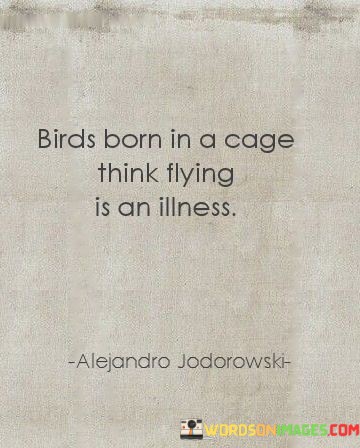 Birds-Born-In-A-Cage-Think-Flying-Is-An-Illness-Quotes.jpeg