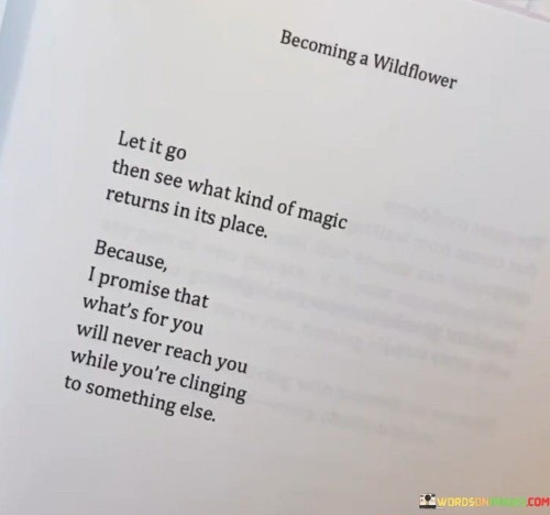Let-It-Go-Then-See-What-Kind-Of-Magic-Returns-In-Its-Place-Quotes.jpeg
