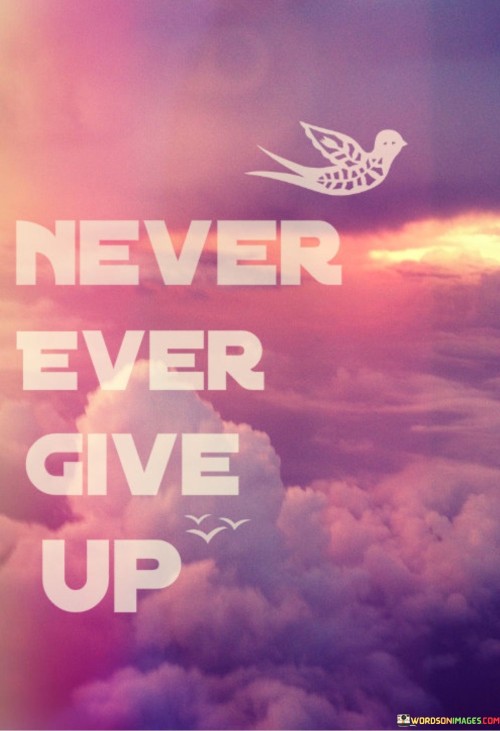 Never-Ever-Give-Up-Quotes.jpeg
