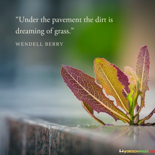 Under-Pavement-The-Dirt-Is-Dreaming-Of-Grass-Quotes.jpeg