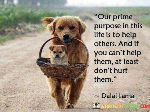 Our-Prime-Purpose-In-This-Life-Is-To-Help-Others-Quotes.jpeg