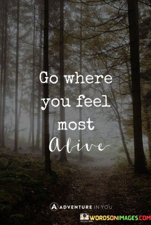 Go-Where-You-Feel-Most-Alive-Quotes.jpeg