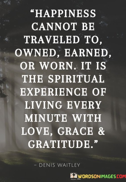 Happiness-Cannot-Be-Traveled-To-Owned-Quotes.jpeg