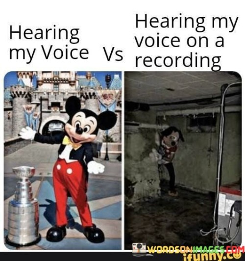 Hearing My Voice Vs Hearing My Voice Quotes