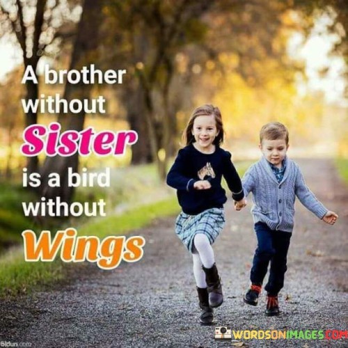 A-Brother-Without-Sister-Is-A-Bird-Quotes.jpeg