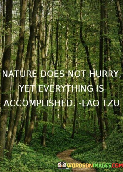 Nature-Does-Not-Hurry-Yet-Everything-Is-Accomplished-Quotes.jpeg