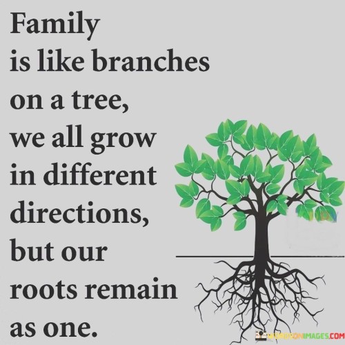 Family-Is-Like-Branches-On-A-Tree-Quotes.jpeg
