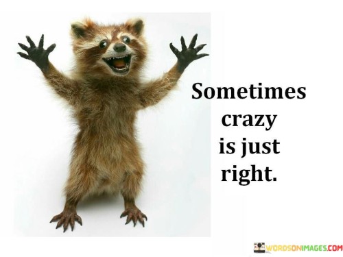 Sometimes Crazy Is Just Right Quotes