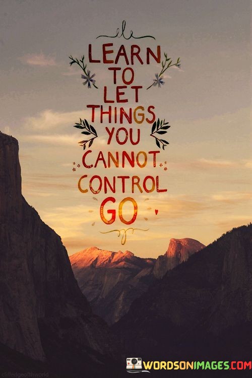 Learn-To-Let-Things-You-Cannot-Control-Go-Quotes.jpeg