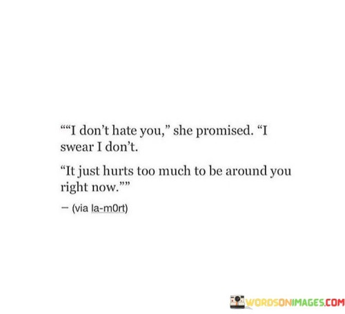 I Don't Hate You She Promised I Swear I Don't It Just Hurts Quotes