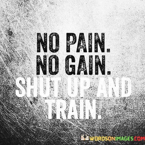 No-Pain-No-Gain-Shut-Up-And-Train-Quotes.jpeg